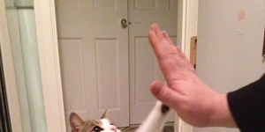 very-nice-high-five
