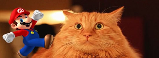 This funny cat is scared of “Mario” jumping sound… LOL
