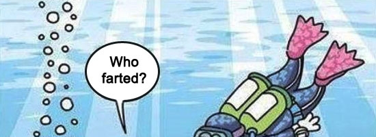 Tell me… Who did that?