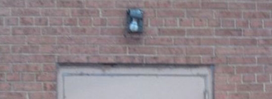 Nice try door… I am not falling for that one again!