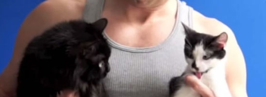 I wish my cats will let me exercise with them like this :) It’s so cute