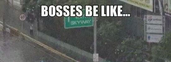 Bosses be like…