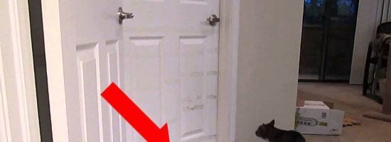 I had no idea why he put water in front of the door. But watch what happens… WOW!