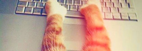 Do you mind? I am trying to do something here…