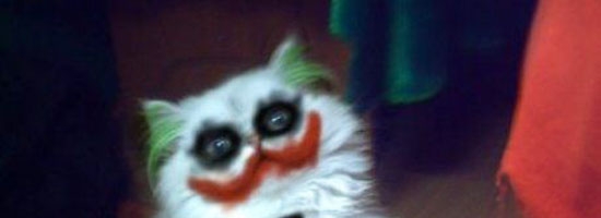 Na Na Na Na Grumpy Cat!