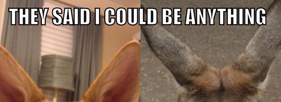 Good for you mate… Good for you!