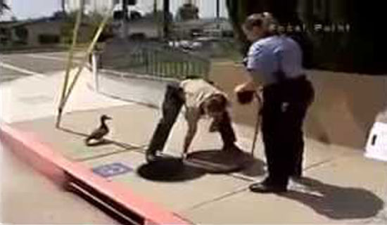 This duck kept quacking until she caught a police officer’s attention. Watch what happened next.