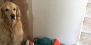 His stash hidden around the house