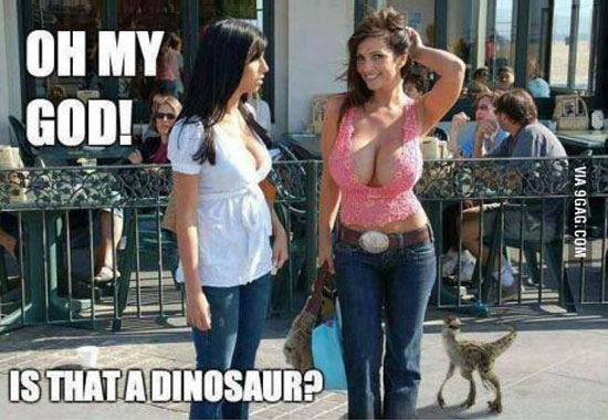 OMG! Is that a….