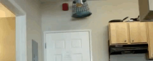 A great prank to come home to… LOL!