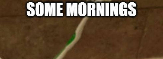 Ever have one of those days…. ???