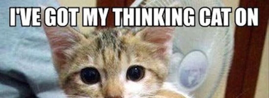 Thinking cat!