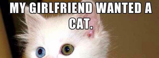 We compromised…