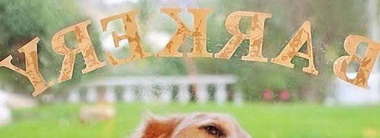 So close… I can almost taste it!