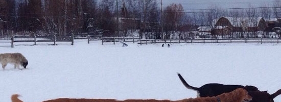 My adventures with panoramic shot gone wrong :(