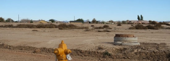 Momma fire hydrant with her babies