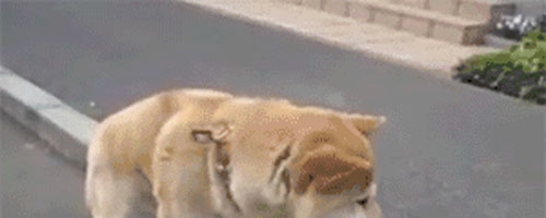 Can’t you go any faster???
