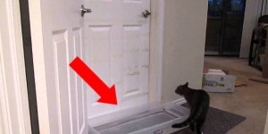 I had no idea why he put water in front of the door. But watch what happens… WOW!