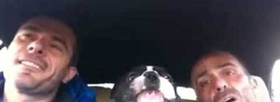 Dog sings you raise me up with his owner
