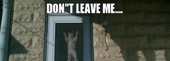 Please Don’t Leave Me…