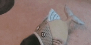 big-fish-swallow-cat