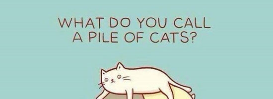 I laughed harder than I should have