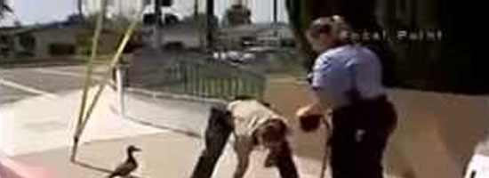 This duck kept quacking until she caught a police officer’s attention. Watch what happened next.