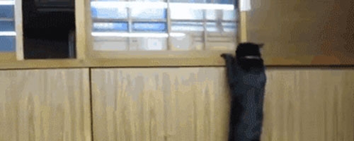 Mission impossible!