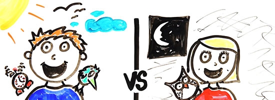 Early birds vs night owls. Who are more successful in life???