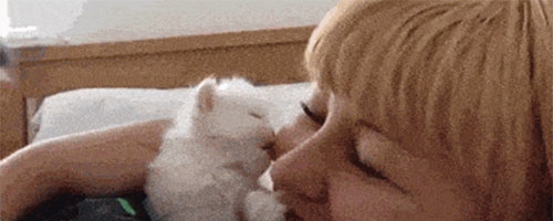 Kitty kisse… So adorable!