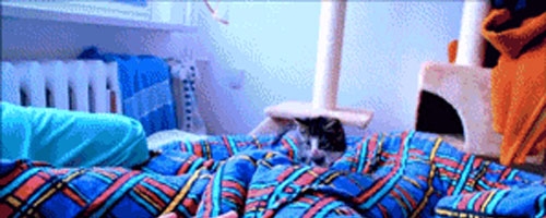 Attack! Oh god… Retreat… Retreat!!
