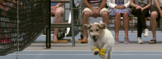 The balls boys in this tennis match are the best you’ll ever see… it’s amazing