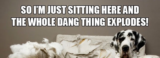 I didn’t do nothing man…