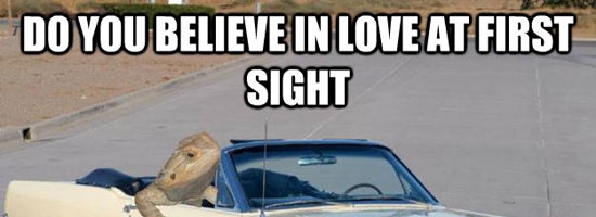 Do you believe in love at first sight???