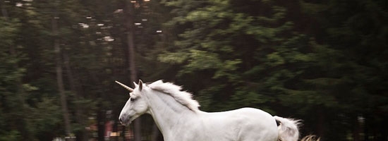 We finally know the REAL reason behind Unicorns went extinct