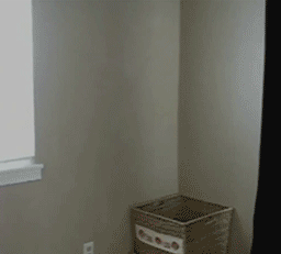 A kitten helping with laundry is one of the most fun thing I’ve ever seen