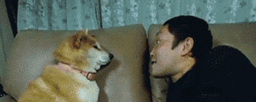 Remember your place, human. Hilarious!