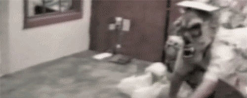 Freaking out the cat in a mask is probably the scariest prank you can do on Halloween