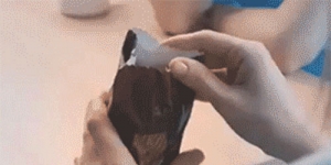 adorable-kittens-fit-box