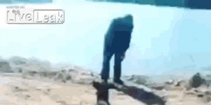 twisted-man-throws-dog-river