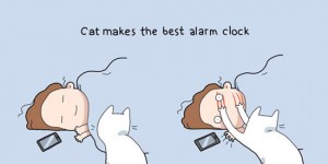 10 Illustrations Show The Benefits of Having a Cat in The House