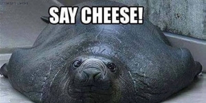 say-cheese