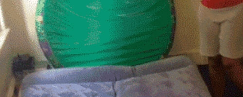 Two little monkeys jumping on the bed…!!!