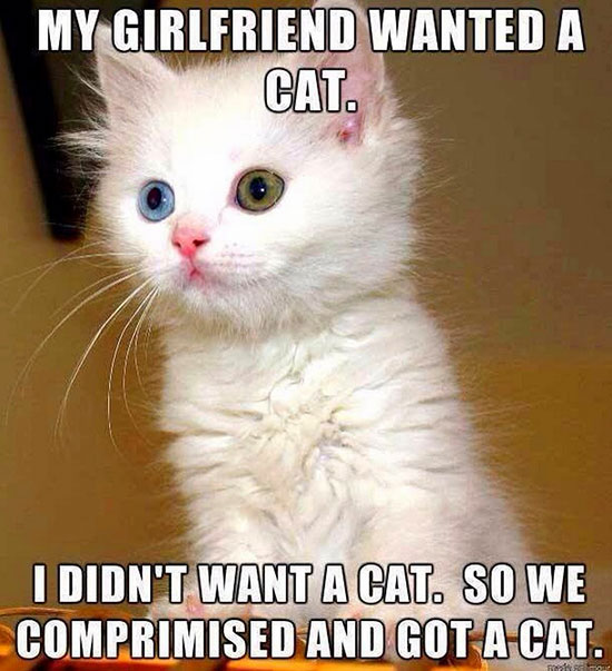 We compromised…