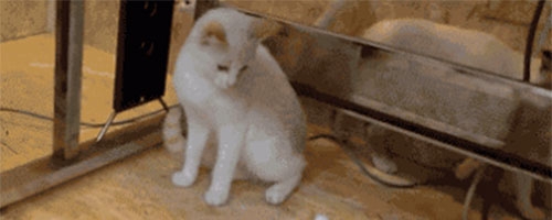 Don’t come near me… I will b*tch slap you!