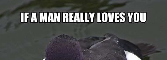 I think this needs to be said!