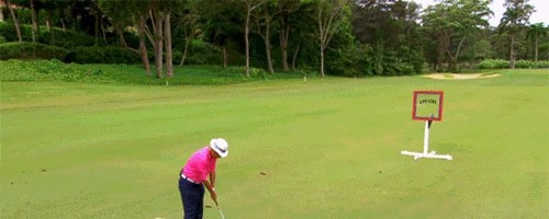 Impressive golf trick shot!