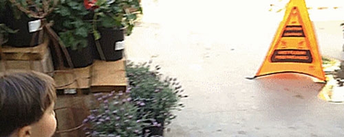 Kid falls in the puddle. Hilarious!