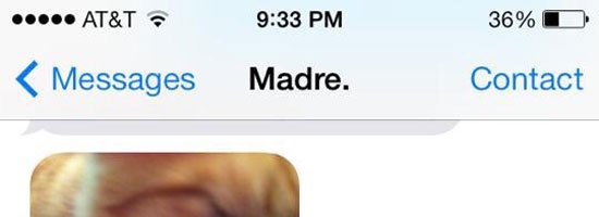 Why I can’t leave my mom alone with the cat