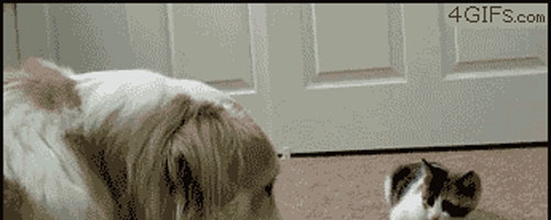 I’m gonna boop your nose. BOOP!